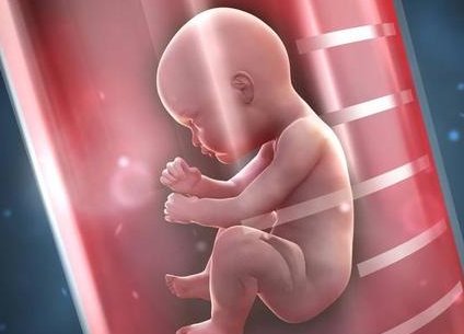 2026安庆助孕机构推荐哪几家？排名前5家费用+成功率，一次性公布！