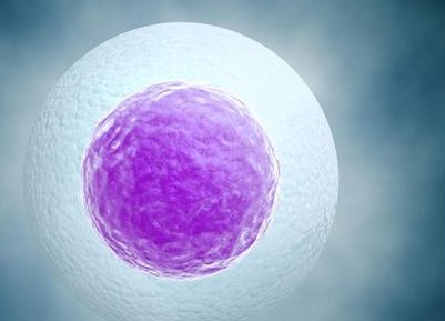 2026吉林省长春市正规助孕机构有哪些？知名专业助孕公司名单大全