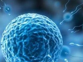 2026全国助孕公司排名榜已发布，前十助孕机构联系方式快收藏