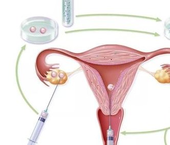 2026合肥做试管婴儿比较好的医院排名，附三代试管助孕限制条件一览