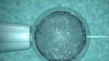 2026三代试管婴儿成功率不低，怎么避免遗传病的？